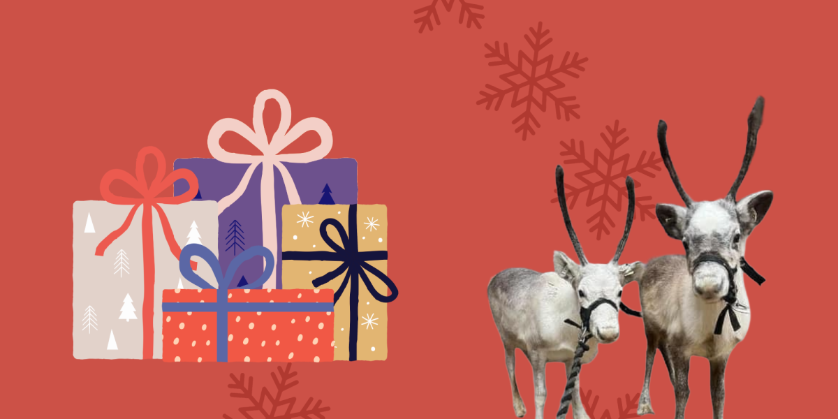 Christmas gifts and reindeer